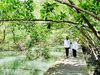 Momen Jokowi dan Iriana Blusukan di Lahan Mangrove Bali