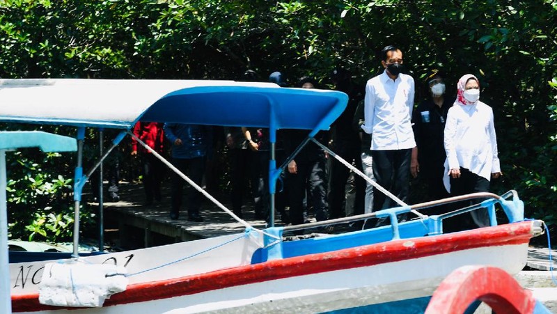 Presiden Joko Widodo dan Ibu Negara Iriana Joko Widodo bersama rombongan meninjau hutan mangrove di Taman Hutan Raya Ngurah Rai, Kabupaten Badung pada Jumat pagi, 8 Oktober 2021. (Laily Rachev - Biro Pers Sekretariat Presiden)