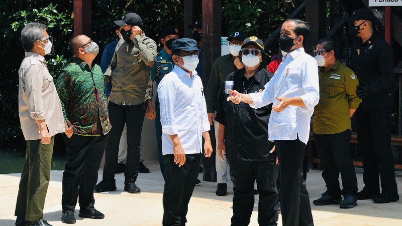 Presiden Joko Widodo dan Ibu Negara Iriana Joko Widodo bersama rombongan meninjau hutan mangrove di Taman Hutan Raya Ngurah Rai, Kabupaten Badung pada Jumat pagi, 8 Oktober 2021. (Laily Rachev - Biro Pers Sekretariat Presiden)