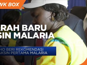 Sejarah Baru! Ada Rekomendasi Vaksin Malaria Untuk Anak-anak