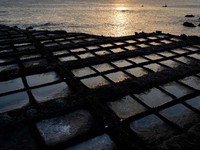 Nestapa di Eropa, Potret Nasib Buruk Petani Garam di Spanyol