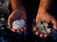 Hujan Terus Tinggi Harga Garam Naik, Petani Happy