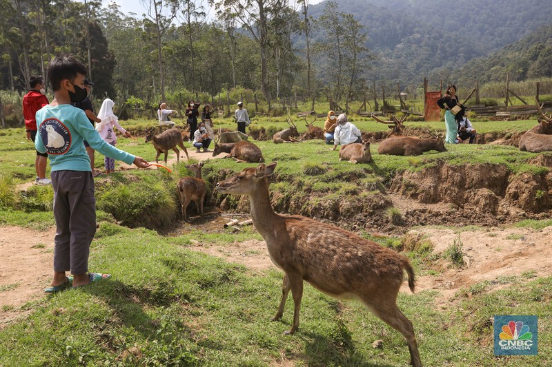Kampung Cai Ranca Upas (CNBC Indonesia/ Andrean Kriatianto)