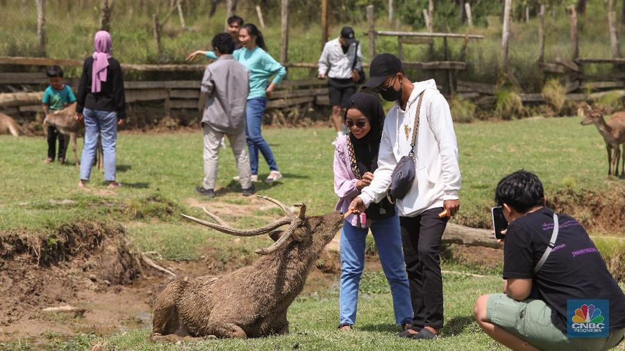 Kampung Cai Ranca Upas (CNBC Indonesia/ Andrean Kriatianto)