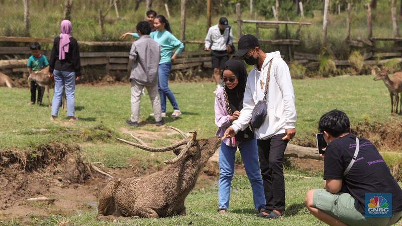 Kampung Cai Ranca Upas (CNBC Indonesia/ Andrean Kriatianto)