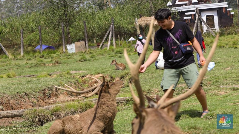 Kampung Cai Ranca Upas (CNBC Indonesia/ Andrean Kriatianto)