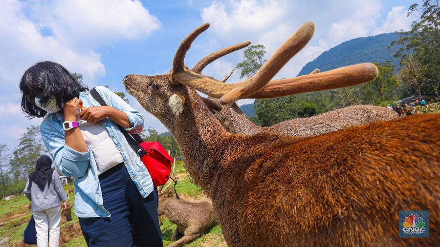 Kampung Cai Ranca Upas