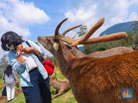 10 Rekomendasi Tempat Wisata Bandung, Buat Keluarga-24 Jam!