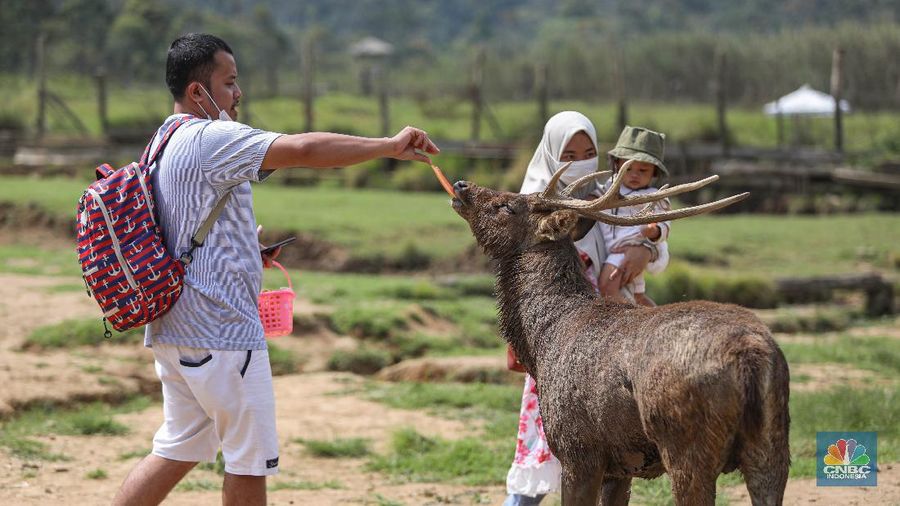 Kampung Cai Ranca Upas (CNBC Indonesia/ Andrean Kriatianto)