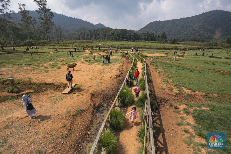 Kampung Cai Ranca Upas Kampung Cai Ranca Upas (CNBC Indonesia/ Andrean Kriatianto)