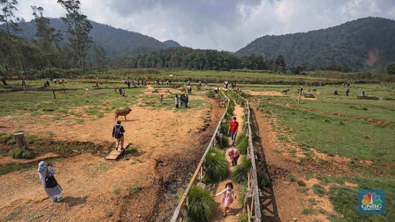 Kampung Cai Ranca Upas (CNBC Indonesia/ Andrean Kriatianto)