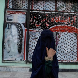 Nestapa Wanita Afghanistan, Jatuh Miskin di Masa Taliban
