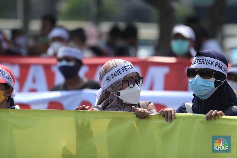 Demo Peternak Ayam Petelur di DPR Paguyuban Peternak Rakyat Indonesia (PPRI) melakukan aksi unjuk rasa di depan Gedung DPR RI, Jakarta, Senin (11/1/2021). Aksi tersebut dilakukan seiring tingginya biaya produksi dan anjloknya harga telur. Aksi ini menuntut pemerintah agar keadilan bagi para peternak ayam mandiri, yang selalu dihantui oleh monopoli perusahaan besar (korporasi) dan fluktuasi harga rugi. Para demonstran sebelumnya dipersilahkan untuk membubarkan diri karena Jakarta masih dalam PPKM namun semua pengunjuk rasa sudah mempunyai surat antigen yang sudah mereka lakukan sebelum aksi. (CNBC Indonesia/ Tri Susilo)