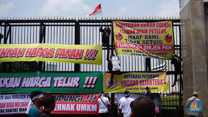 Paguyuban Peternak Rakyat Indonesia (PPRI) melakukan aksi unjuk rasa di depan Gedung DPR RI, Jakarta, Senin (11/1/2021). Aksi tersebut dilakukan seiring tingginya biaya produksi dan anjloknya harga telur. Aksi ini menuntut pemerintah agar keadilan bagi para peternak ayam mandiri, yang selalu dihantui oleh monopoli perusahaan besar (korporasi) dan fluktuasi harga rugi. Para demonstran sebelumnya dipersilahkan untuk membubarkan diri karena Jakarta masih dalam PPKM namun semua pengunjuk rasa sudah mempunyai surat antigen yang sudah mereka lakukan sebelum aksi.  (CNBC Indonesia/ Tri Susilo)