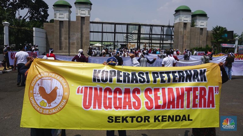 Paguyuban Peternak Rakyat Indonesia (PPRI) melakukan aksi unjuk rasa di depan Gedung DPR RI, Jakarta, Senin (11/1/2021). Aksi tersebut dilakukan seiring tingginya biaya produksi dan anjloknya harga telur. Aksi ini menuntut pemerintah agar keadilan bagi para peternak ayam mandiri, yang selalu dihantui oleh monopoli perusahaan besar (korporasi) dan fluktuasi harga rugi. Para demonstran sebelumnya dipersilahkan untuk membubarkan diri karena Jakarta masih dalam PPKM namun semua pengunjuk rasa sudah mempunyai surat antigen yang sudah mereka lakukan sebelum aksi.  (CNBC Indonesia/ Tri Susilo)