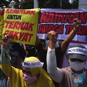 Dari Peternak Ayam Gruduk DPR, Sampai Pinjol Digerebek