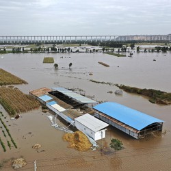 Ini 'Biang Kerok' yang Buat Krisis di China Makin Ngeri