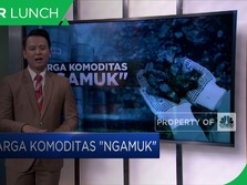 Harga Komoditas 'Ngamuk'
