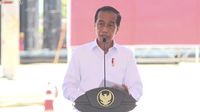 Jokowi Ungkap 'Harta Karun' RI Ini Dinikmati Asing