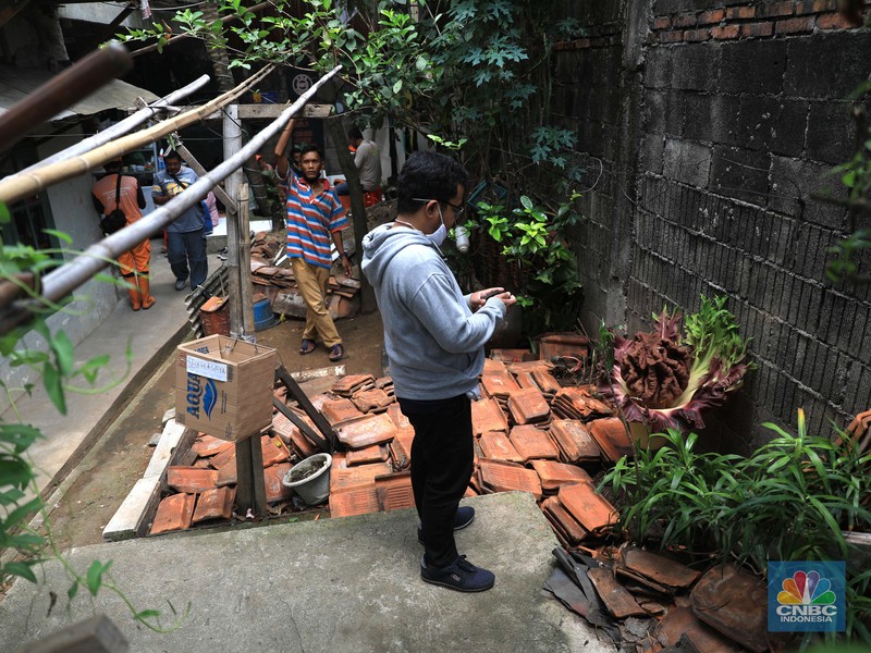 tanaman yang diduga bunga bangkai Warga melihat tanaman bunga bangkai di pekarangan rumah di Cipete, Cilandak, Jakarta Selatan, Selasa, 12/10. Tanaman mirip bunga bangkai menyita perhatian warga sekitar hingga viral di media sosial.
Pantauan CNBC Indonesia di lokasi, tanaman mirip bunga bangkai terlihat mekar dan berada di pekarangan rumah warga di Jalan Bunga Rampai RT 11 RW 03, Cipete Selatan, Cilandak, Jakarta Selatan. Terlihat beberapa warga berdatangan hanya untuk sekedar mendokumentasikan momen langka tersebut.
Pemilik rumah yang ditumbuhi bunga tersebut, Nova (34), mengatakan