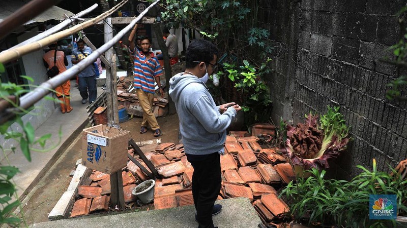 Warga melihat tanaman bunga bangkai di pekarangan rumah di Cipete, Cilandak, Jakarta Selatan, Selasa, 12/10. Tanaman mirip bunga bangkai menyita perhatian warga sekitar hingga viral di media sosial.
Pantauan CNBC Indonesia di lokasi, tanaman mirip bunga bangkai terlihat mekar dan berada di pekarangan rumah warga di Jalan Bunga Rampai RT 11 RW 03, Cipete Selatan, Cilandak, Jakarta Selatan. Terlihat beberapa warga berdatangan hanya untuk sekedar mendokumentasikan momen langka tersebut.
Pemilik rumah yang ditumbuhi bunga tersebut, Nova (34), mengatakan 