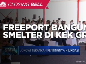 Terbesar di Dunia! Freeport Bangun Smelter di KEK Gresik