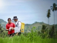Digitalisasi Jadi Senjata Utama BRI dalam Mikro & Ultra Mikro