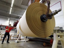 Baru Tau! Impor Kertas Kraft Tembus Rp 960 Miliar/Tahun!