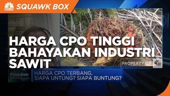 GIMNI: Harga CPO Tinggi Juga Bisa Bahayakan Industri Sawit