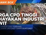 GIMNI: Harga CPO Tinggi Juga Bisa Bahayakan Industri Sawit
