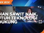 Kebutuhan Olahan Sawit Naik, RI Butuh Teknologi Pendukung