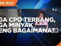 Begini Efek Lonjakan Harga CPO ke Industri Olahan Sawit