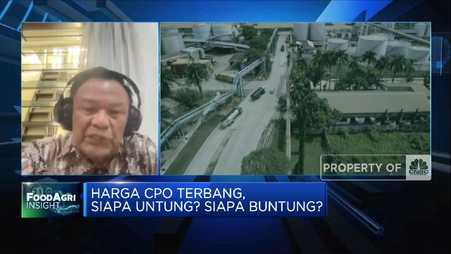 Harga CPO Terbang, GIMNI Harap Harga Minyak Goreng Dkk Sesuai Mekanisme Pasar(CNBC Indonesia TV)
