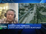 Duh! Produsen Migor Sebut Sulit Dapat CPO, Gegara DMO?