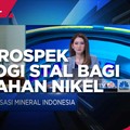 Karya Anak Bangsa, Ini Prospek STAL di Pengolahan Nikel RI