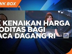 Ekonom Soal Efek Kenaikan Harga Komoditas ke Neraca Dagang RI