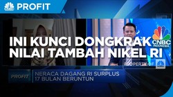 Perbaikan Iklim Investasi, Kunci Dongkrak Nilai Tambah Nikel