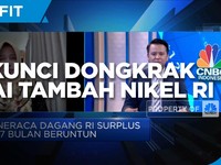 Perbaikan Iklim Investasi, Kunci Dongkrak Nilai Tambah Nikel