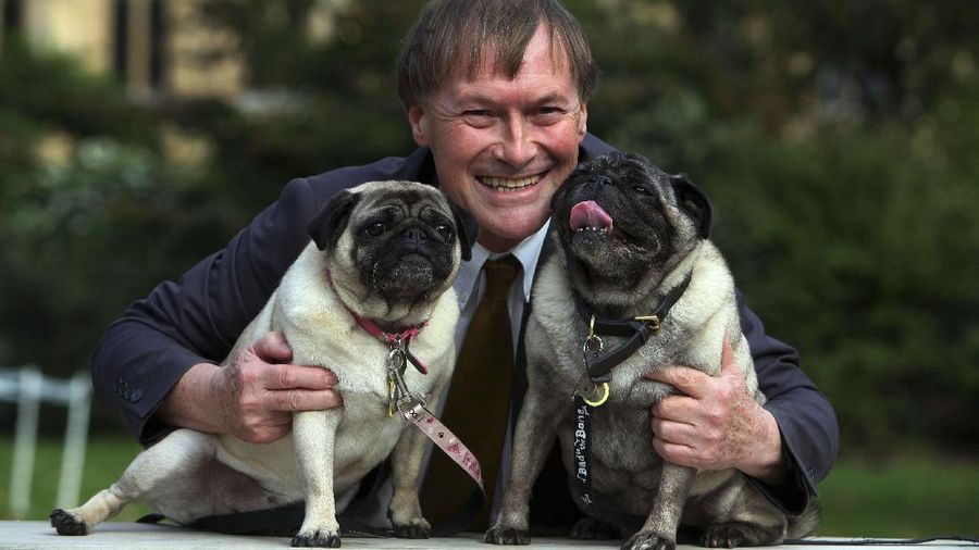 Conservative MP David Amess with his pugs, Lily and Boat at the Westminster Dog of the Year competition at Victoria Tower Gardens in London on Oct. 10, 2013. British police say a man has been arrested after a reported stabbing in eastern England. News outlets say the victim is Conservative lawmaker David Amess. The Essex Police force said officers were called to reports of a stabbing in Leigh-on-Sea just after noon Friday. It said “a man was arrested shortly after & we’re not looking for anyone else.” (Geoff Caddick/PA via AP)