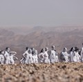 Ancaman Selain Covid Makin Nyata, Ramai-ramai Bugil di Israel