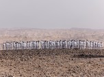 Potret Ramai-ramai Bugil di Israel hingga 'Kiamat' Babi di AS