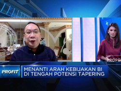 Ekonom UI Soal Arah Kebijakan BI Hadapi Efek Tapering The Fed