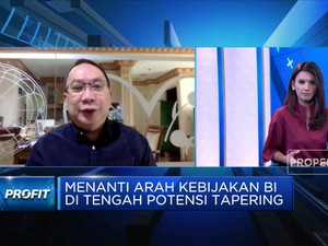 Ekonom UI Soal Arah Kebijakan BI Hadapi Efek Tapering The Fed