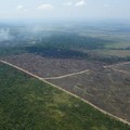Seram! 'Paru-Paru' Bumi Sudah Rusak, Hancur Parah 15 Tahun
