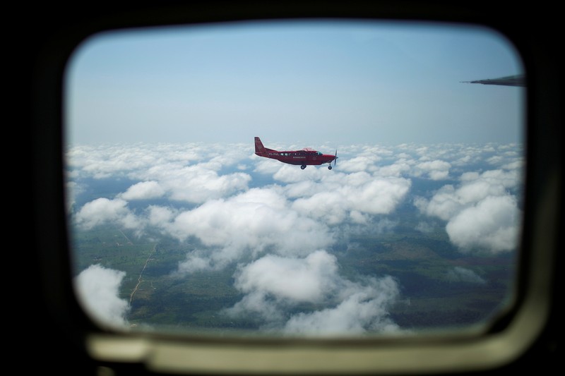 Hutan Amazon Brazil. (REUTERS/ADRIANO MACHADO) Hutan Amazon Brazil. (REUTERS/ADRIANO MACHADO)