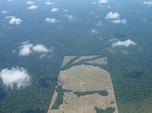 Ancaman Selain Covid Nyata, Potret Amazon Jadi Sabana Kering