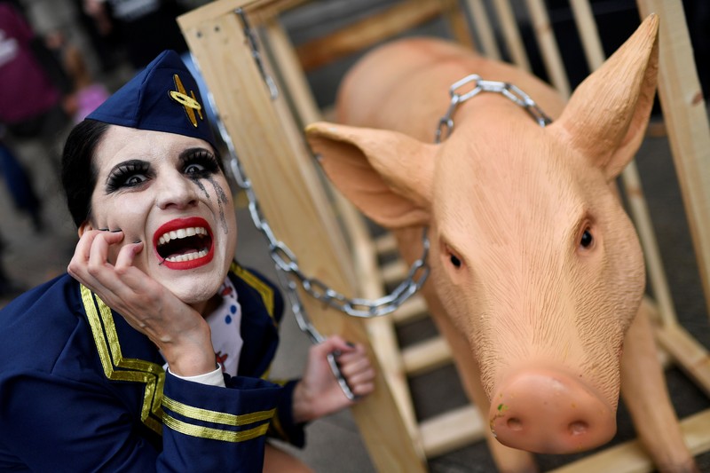 Peternak babi di Amerika Serikat. (REUTERS/PHIL NOBLE)