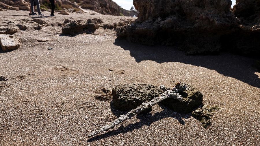 A sword believed to have belonged to a Crusader who sailed to the Holy Land almost a millennium ago lays on the beach near to where it was recovered from the Mediterranean seabed by an amateur diver, the Israel Antiquities Authority said, Caesarea, Israel October 18, 2021. REUTERS/Ronen Zvulun