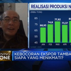 Faisal Basri: Lebih Untung Jika RI Ekspor Bijih Nikel