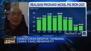 Faisal Basri: Lebih Untung Jika RI Ekspor Bijih Nikel